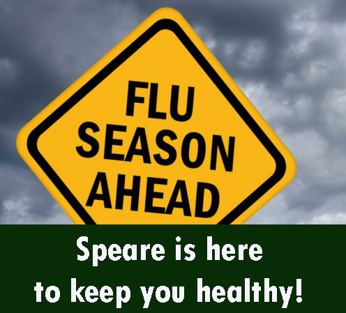 flu season ahead