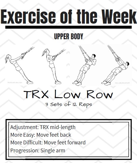 TRX low row