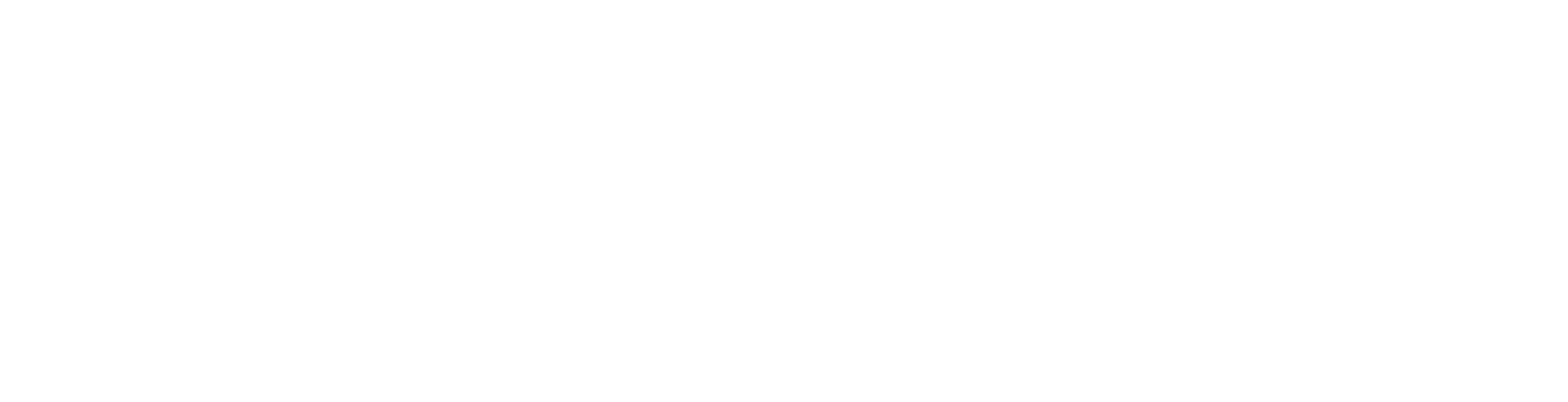 Speare Memorial Hospital Logo for 125 Celebration