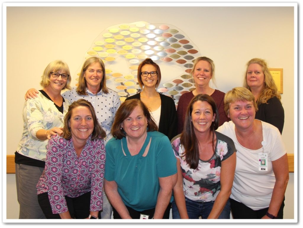 school nurses 2019
