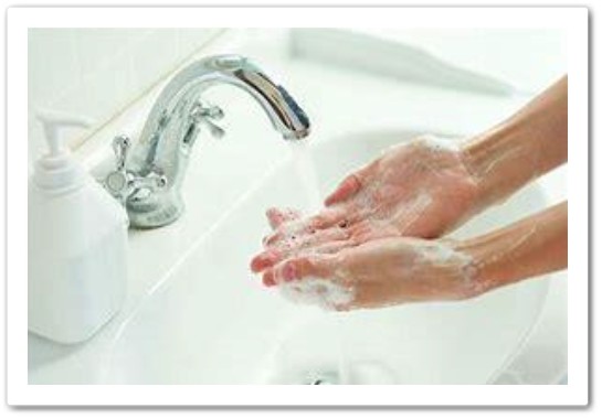 wash your hands