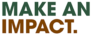 Make An Impact